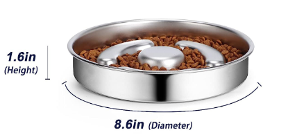 ZenBowl Elevated Slow Feeder