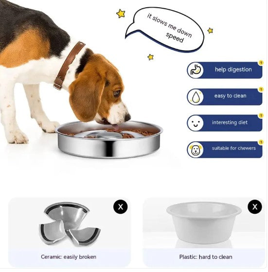 ZenBowl Elevated Slow Feeder
