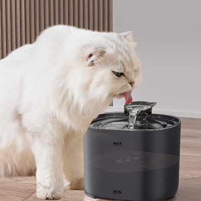 PurrStream Filtered Water Fountain