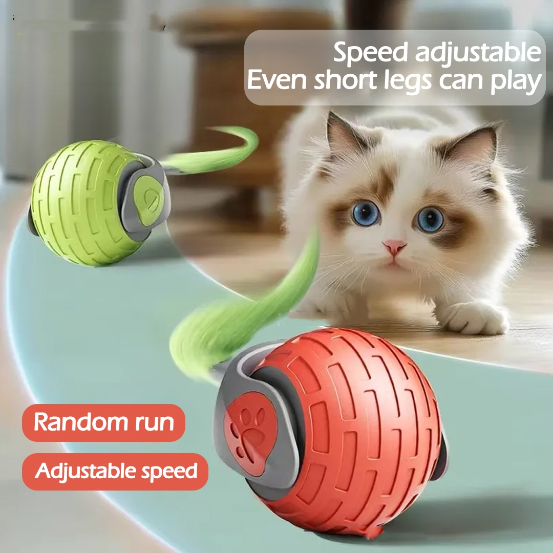 RollyBot Smart Rolling Ball