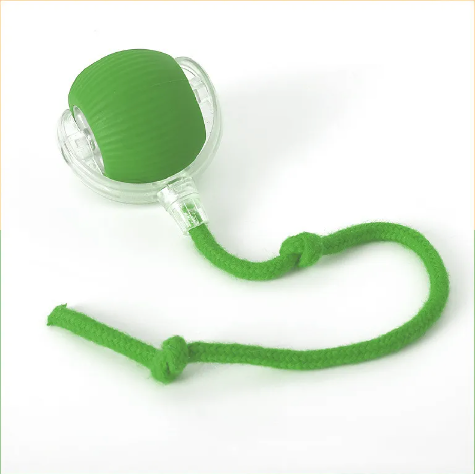 FuzzChase Self-Rolling Plush Ball