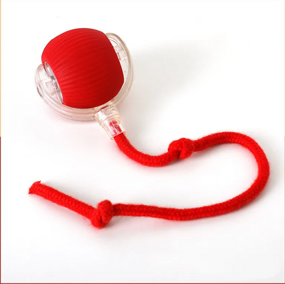 FuzzChase Self-Rolling Plush Ball