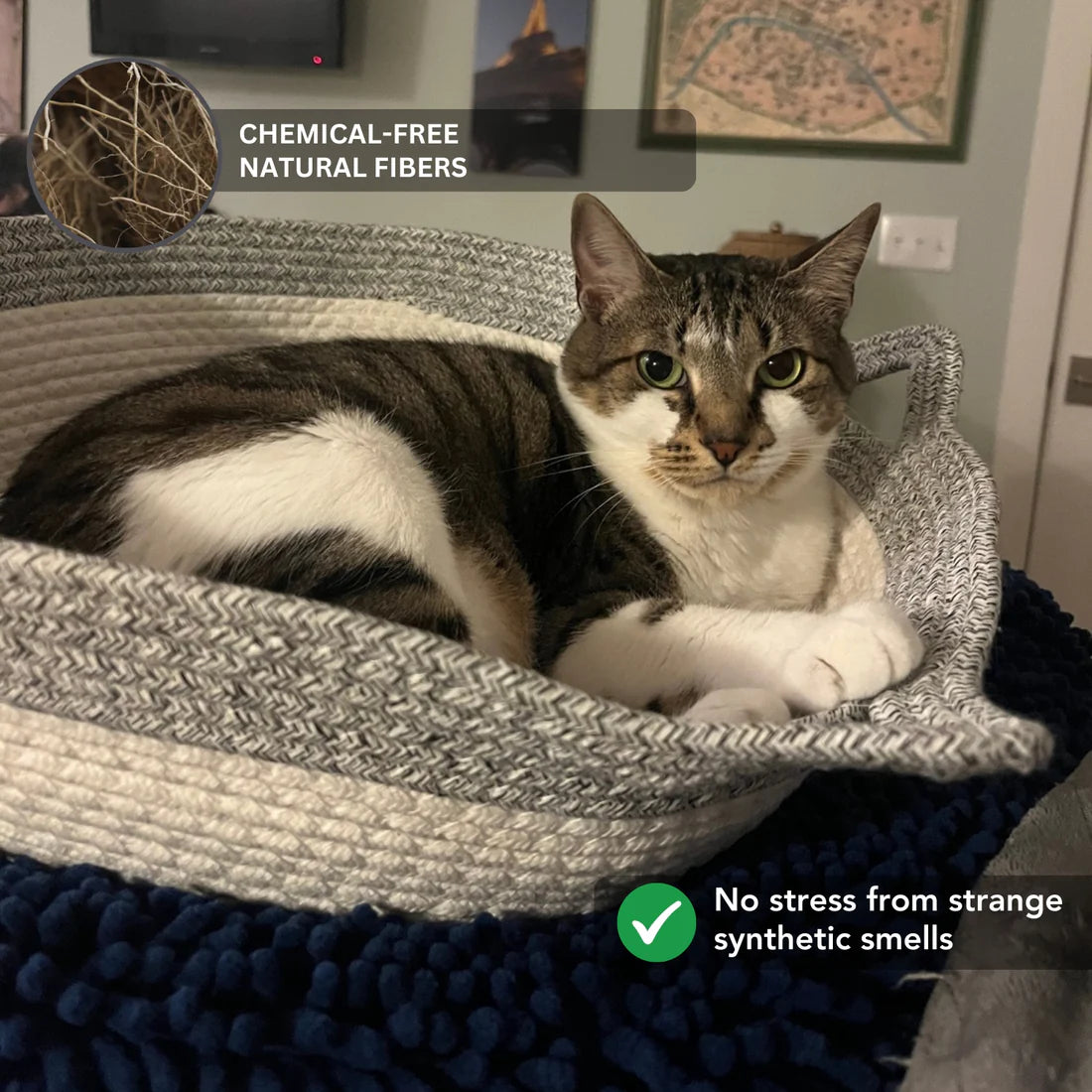 Cat relaxing inside the WildNest handwoven basket